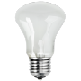 &nbsp;"Elinchrom-Einstelllicht 196V/100W E 27-Elinchrom-Lampen/Lamps"