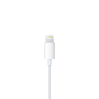 Apple 6