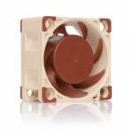 Noctua - Noctua NF-A4x20 FLX Computer case Fan 4 cm Beige, Brown