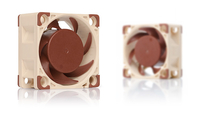 Noctua 4