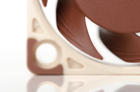 Noctua 6