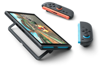 Nintendo 13